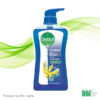 Dettol Shower Gel Captivating 8 850360 065377